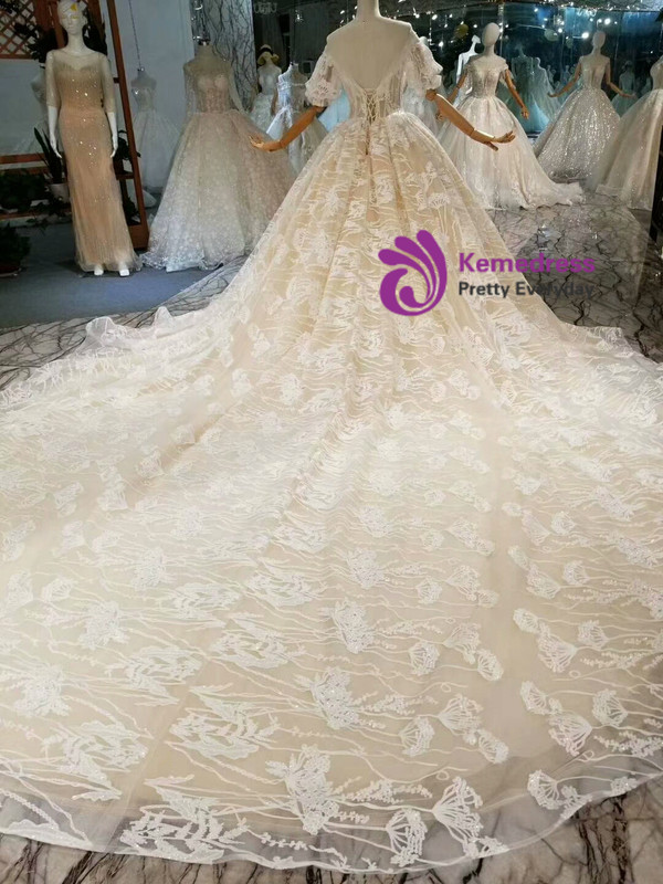 Champagne Ball Gown Tulle Lace Bateau Puff Sleeve Wedding Dress With Long Train