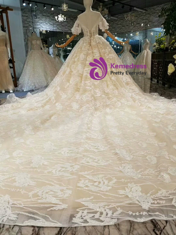 Champagne Ball Gown Tulle Lace Bateau Puff Sleeve Wedding Dress With Long Train