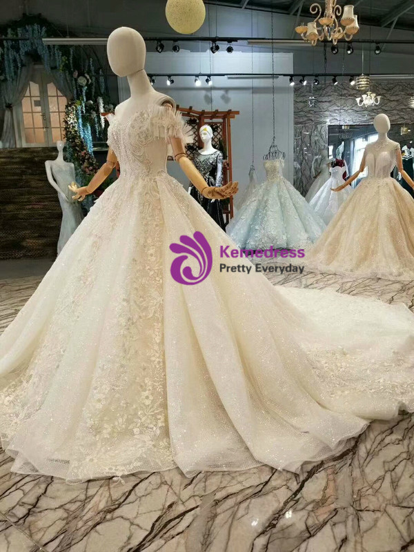 Champagne Tulle Sequins Lace Appliques Off The Shoulder Wedding Dress