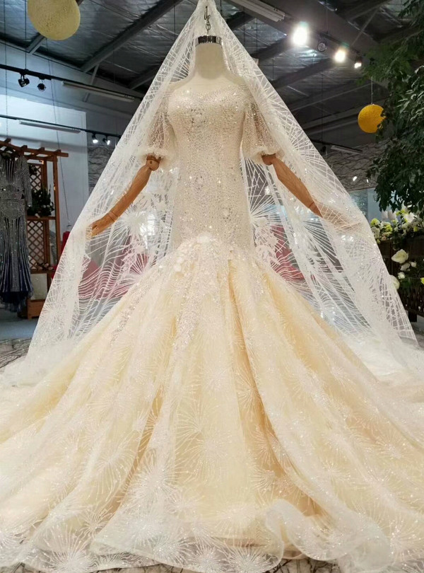 Champagne Meramid Tulle Sequins Puff Sleeve Backless Beading Dress With Train