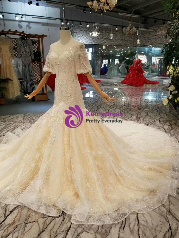 Champagne Meramid Tulle Sequins Puff Sleeve Backless Beading Dress With Train
