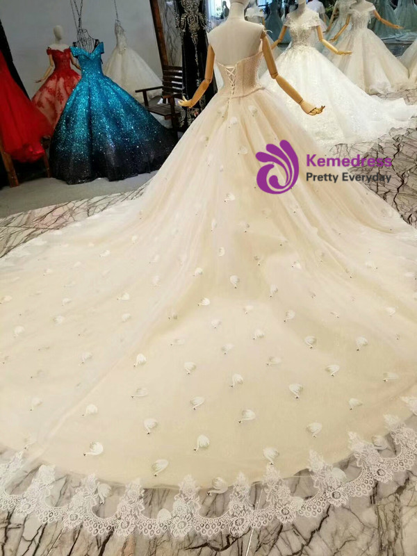 Champagne Ball Gown Tulle Strapless Swan Appliques Wedding Dress With Train