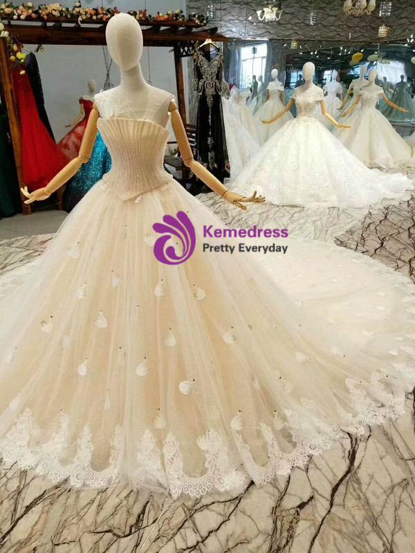 Champagne Ball Gown Tulle Strapless Swan Appliques Wedding Dress With Train