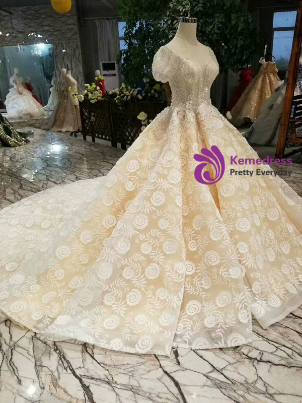 Champagne Ball Gown Lace Short Sleeve Square Appliques Wedding Dress With Train