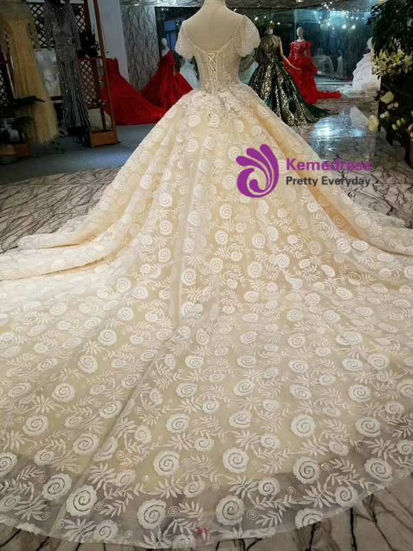 Champagne Ball Gown Lace Short Sleeve Square Appliques Wedding Dress With Train