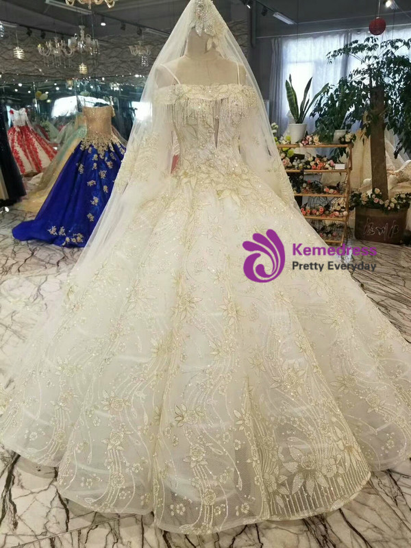 Champagne Tulle Sequins Appliques Spaghetti Straps Long Sleeve Wedding Dress