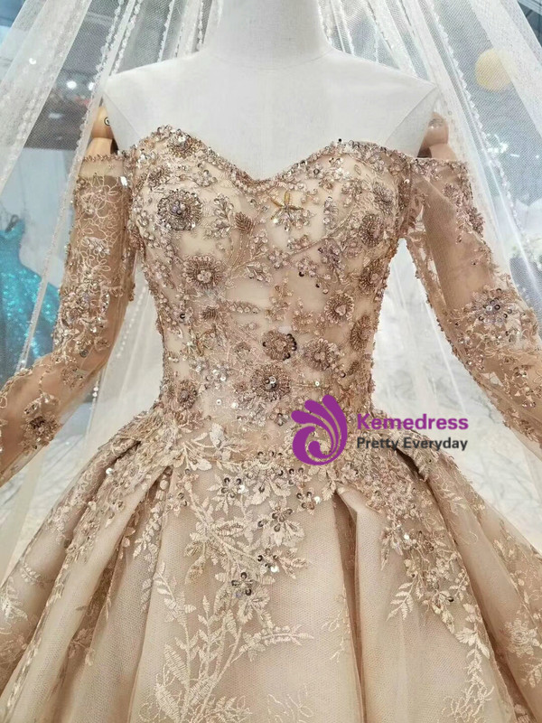 Champagne Tulle Lace Appliques Off The Shoulder Long Sleeve Wedding Dress