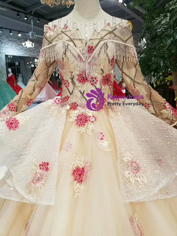 Champagne Ball Gown Tulle Sequins Embroidery Appliques Long Sleeve Wedding Dress