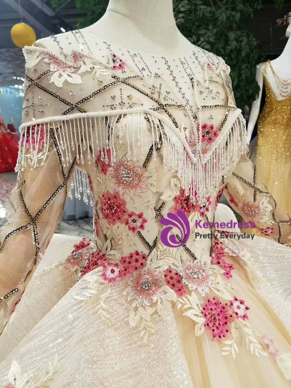 Champagne Ball Gown Tulle Sequins Embroidery Appliques Long Sleeve Wedding Dress