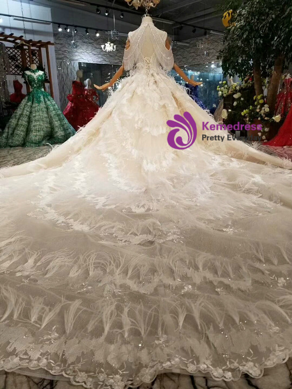 Shop 2019 Long & Short Champagne Ball Gown Tulle Deep V-neck Backless Wedding Dress With Feather With Factory Price From Kemedress