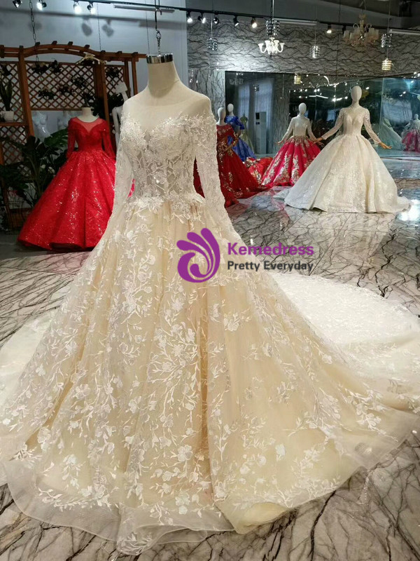 Shop 2019 Long & Short Champagne Tulle Appliques Bateau Long Sleeve Backless Wedding Dress With Factory Price From Kemedress