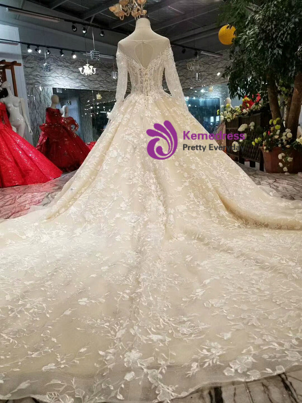 Shop 2019 Long & Short Champagne Tulle Appliques Bateau Long Sleeve Backless Wedding Dress With Factory Price From Kemedress