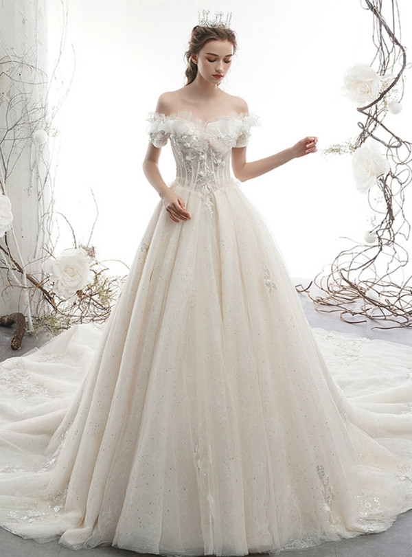 Impressive Light Champagne Ball Gown Tulle Off the Shoulder Appliques Wedding Dress