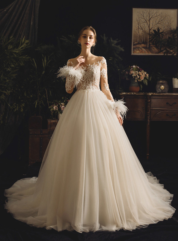 Champagne Ball Gown Tulle Appliques Long Sleeve With Feather Wedding Dress