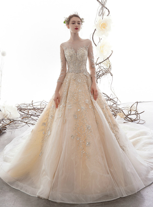 Brilliant Champagne Ball Gown Tulle Sequins Long Sleeve Backless Appliques Wedding Dress
