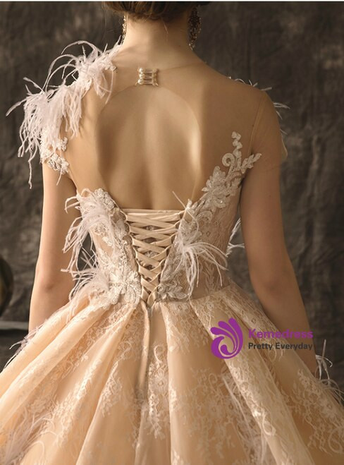 Champagne Ball Gown Tulle Lace Cap Sleeve Beading Feather Backless Wedding Dress