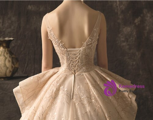 Champagne Tulle Lace V-neck Backless Wedding Dress With Beading With Train