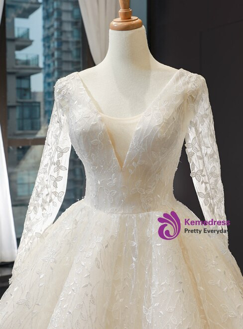Brilliant Ivory Ball Gown V-neck Long Sleeve Appliques Backless Wedding Dress