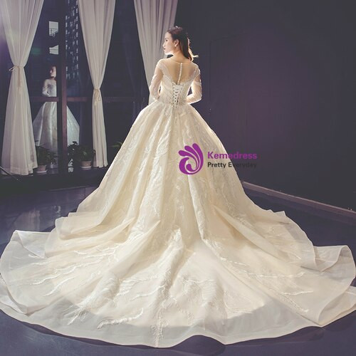 Champagne Ball Gown Tulle Appliques Long Sleeve Appliques Wedding Dress