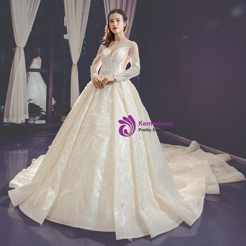 Champagne Ball Gown Tulle Appliques Long Sleeve Appliques Wedding Dress