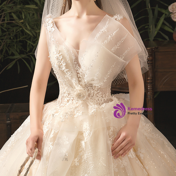 Champagne Tulle Sequins V-neck Appliques Open Back Sleeveless Wedding Dress