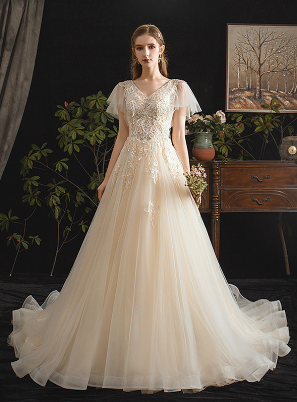 Simple Champagne Tulle Appliques Beading V-neck Wedding Dress