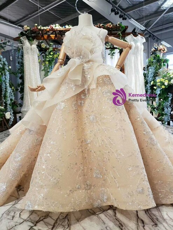 Champagne Ball Gown Sequins Spaghetti Straps Appliques Flower Girl Dress With Long Train