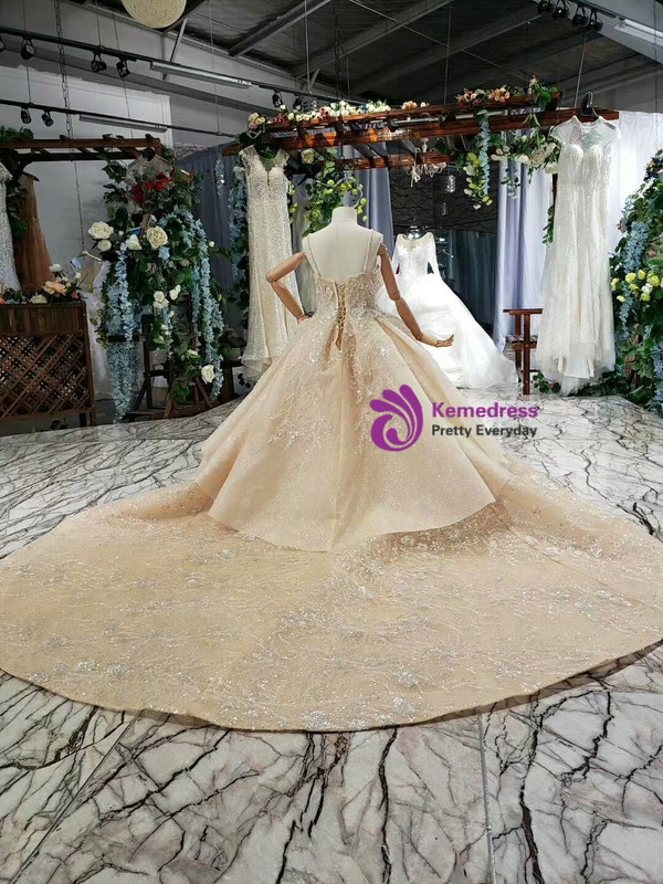 Champagne Ball Gown Sequins Spaghetti Straps Appliques Flower Girl Dress With Long Train