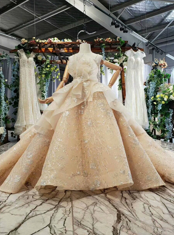 Champagne Ball Gown Sequins Spaghetti Straps Appliques Flower Girl Dress With Long Train