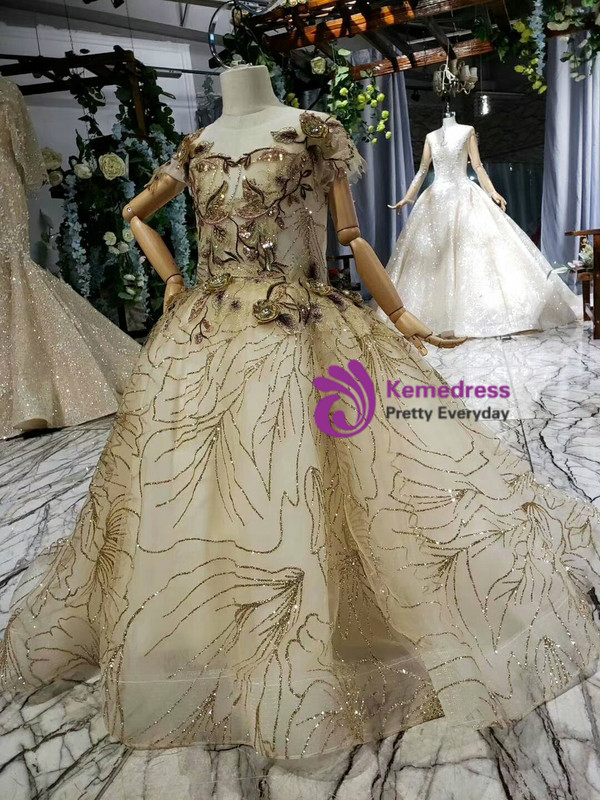 Champagne Ball Gown Backless Cap Sleeve Tulle Sequins Appliques Flower Girl Dress