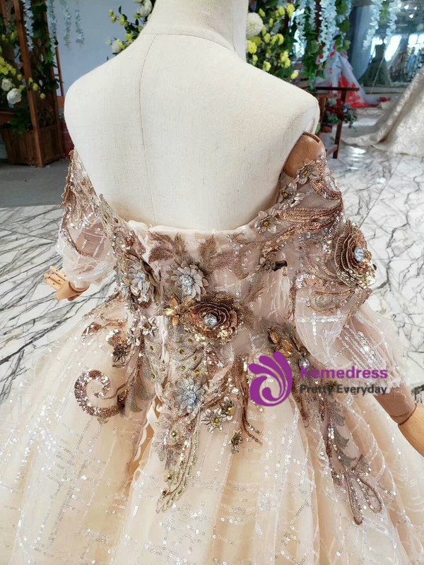 Champagne Ball Gown Tulle Sequins Off the Shoulder Long SleeveSequins  Appliques Flower Girl Dress