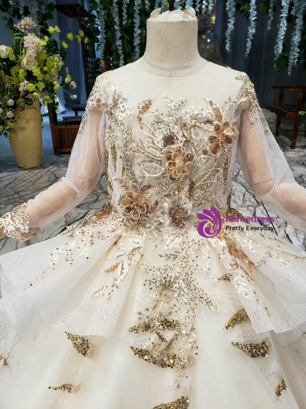 Champagne Ball Gown Long Sleeve Backless Tulle Gold Sequins Appliques Flower Girl Dress