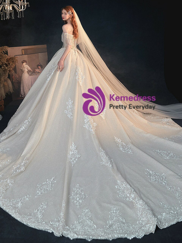 Alluring Champagne Tulle Sequins Beading Appliques Wedding Dress