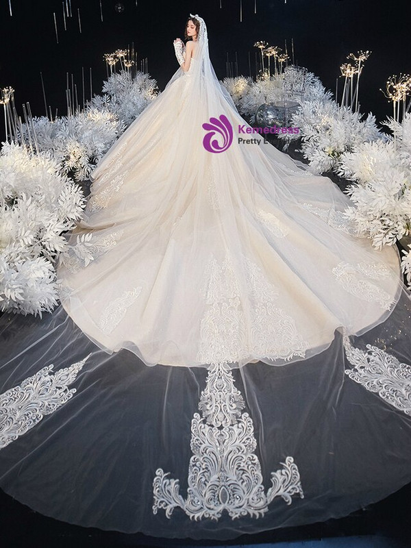 Champagne Ball Gown Tulle Lace Appliques Sweetheart Beading Wedding Dress