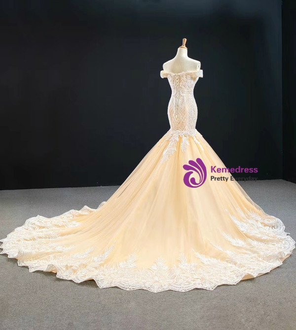 Champagne Mermaid Tulle Lace Beading Wedding Dress