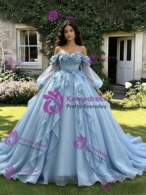 Blue Tulle Long Sleeve 3D Appliques Quinceanera Dress