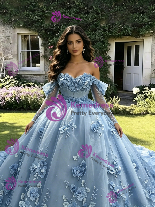 Blue Tulle Appliques Long Sleeve Quinceanera Dress