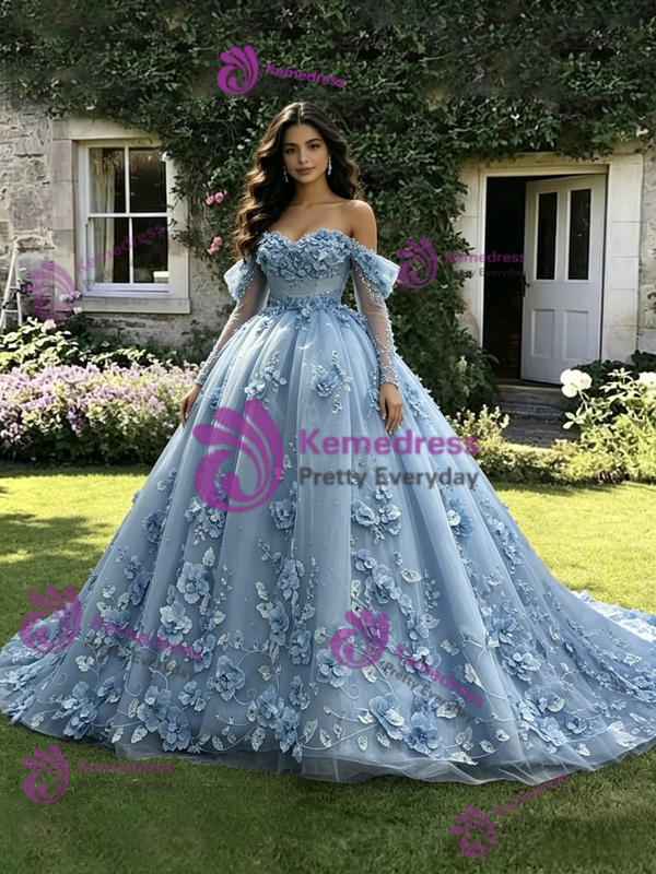 Blue Tulle Appliques Long Sleeve Quinceanera Dress