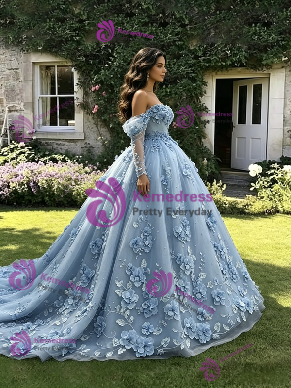 Blue Tulle Appliques Long Sleeve Quinceanera Dress