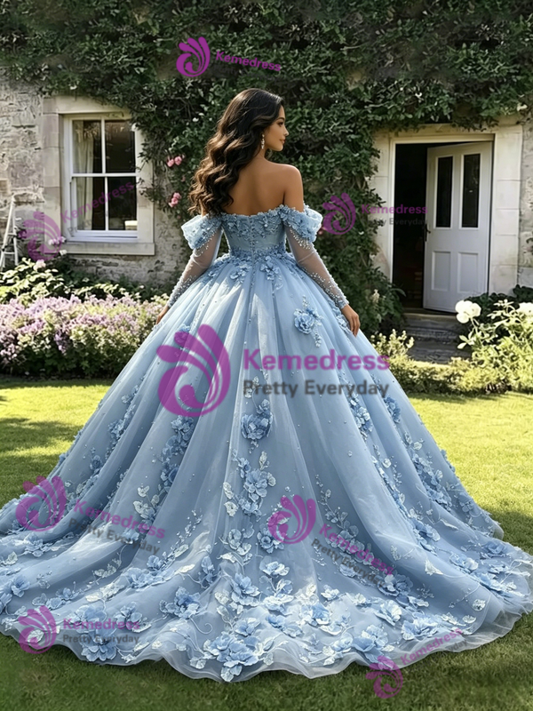 Blue Tulle Appliques Long Sleeve Quinceanera Dress