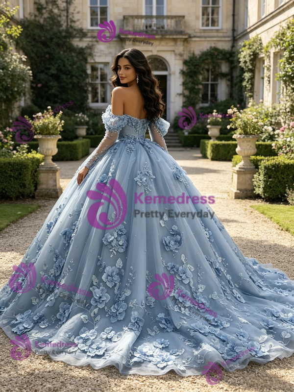 Blue Tulle Appliques Long Sleeve Quinceanera Dress