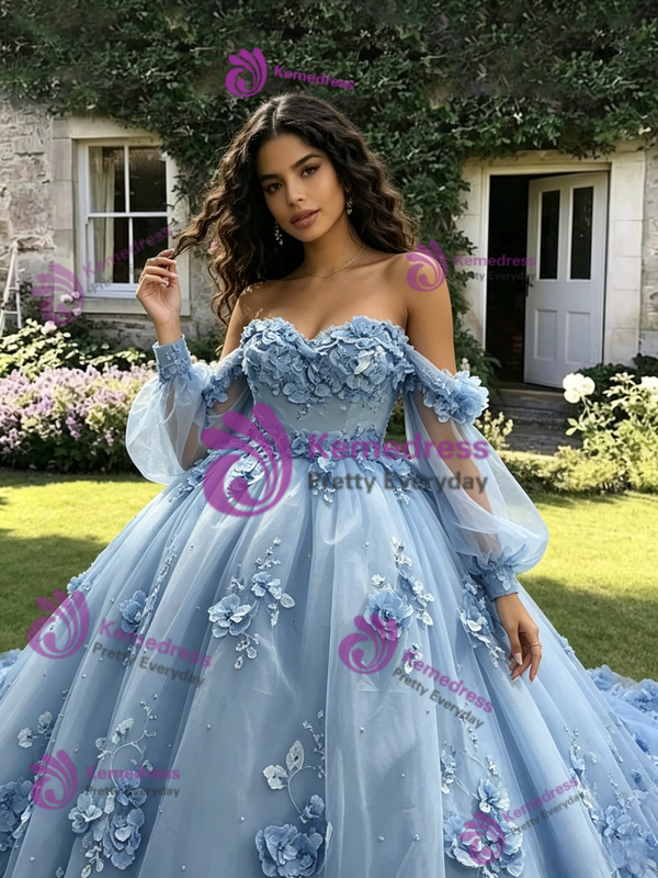Blue Tulle 3D Appliques Long Sleeve Quinceanera Dress
