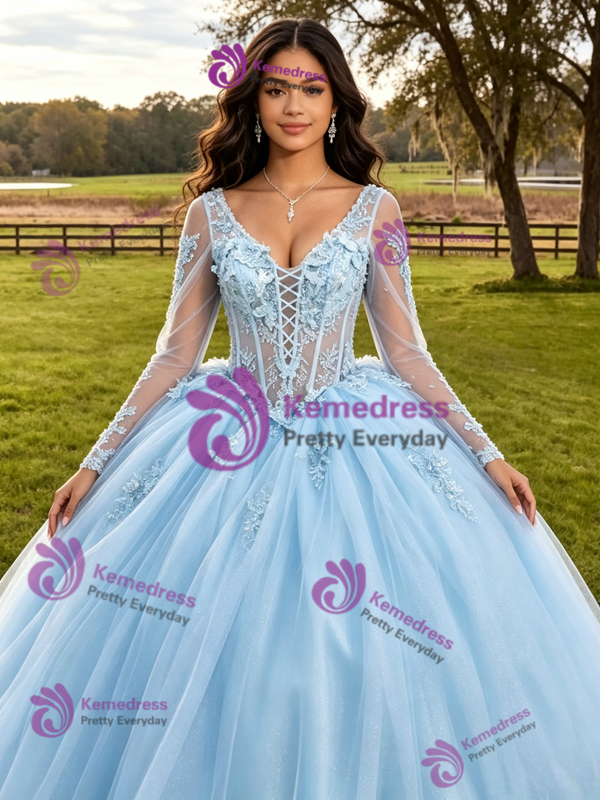 Light Blue Tulle Long Sleeve Appliques Quinceanera Dress