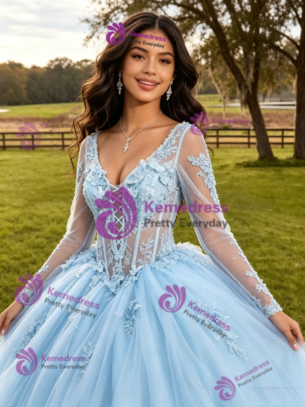 Light Blue Tulle Long Sleeve Appliques Quinceanera Dress