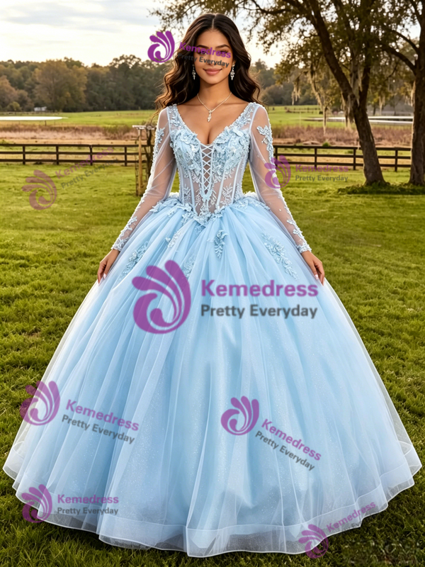 Light Blue Tulle Long Sleeve Appliques Quinceanera Dress