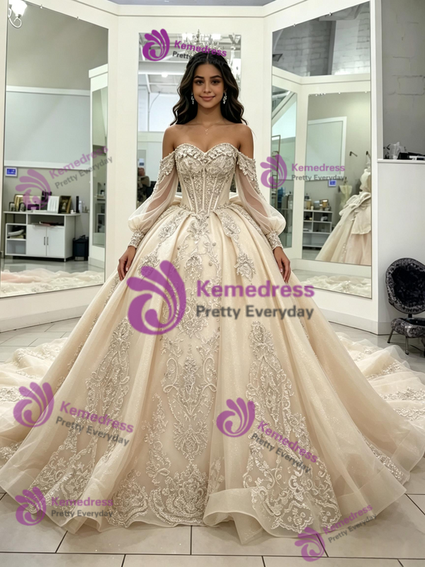 Champagne Tulle Appliques Long Sleeve Quinceanera Dress