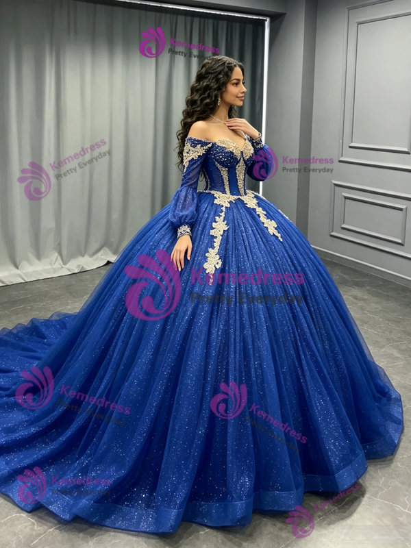 Blue Tulle Sequins Long Sleeve Quinceanera Dress