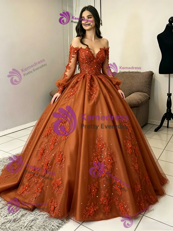 Brown Tulle Long Sleeve Appliques Quinceanera Dress