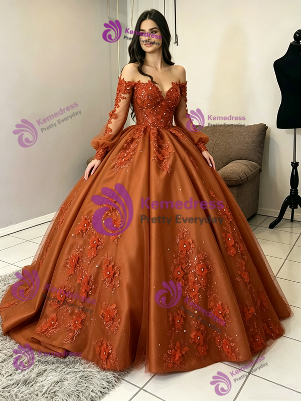 Brown Tulle Long Sleeve Appliques Quinceanera Dress