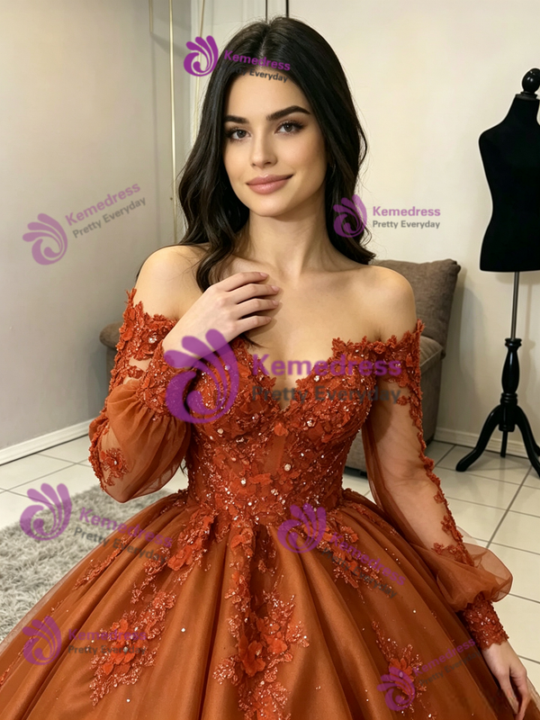 Brown Tulle Long Sleeve Appliques Quinceanera Dress